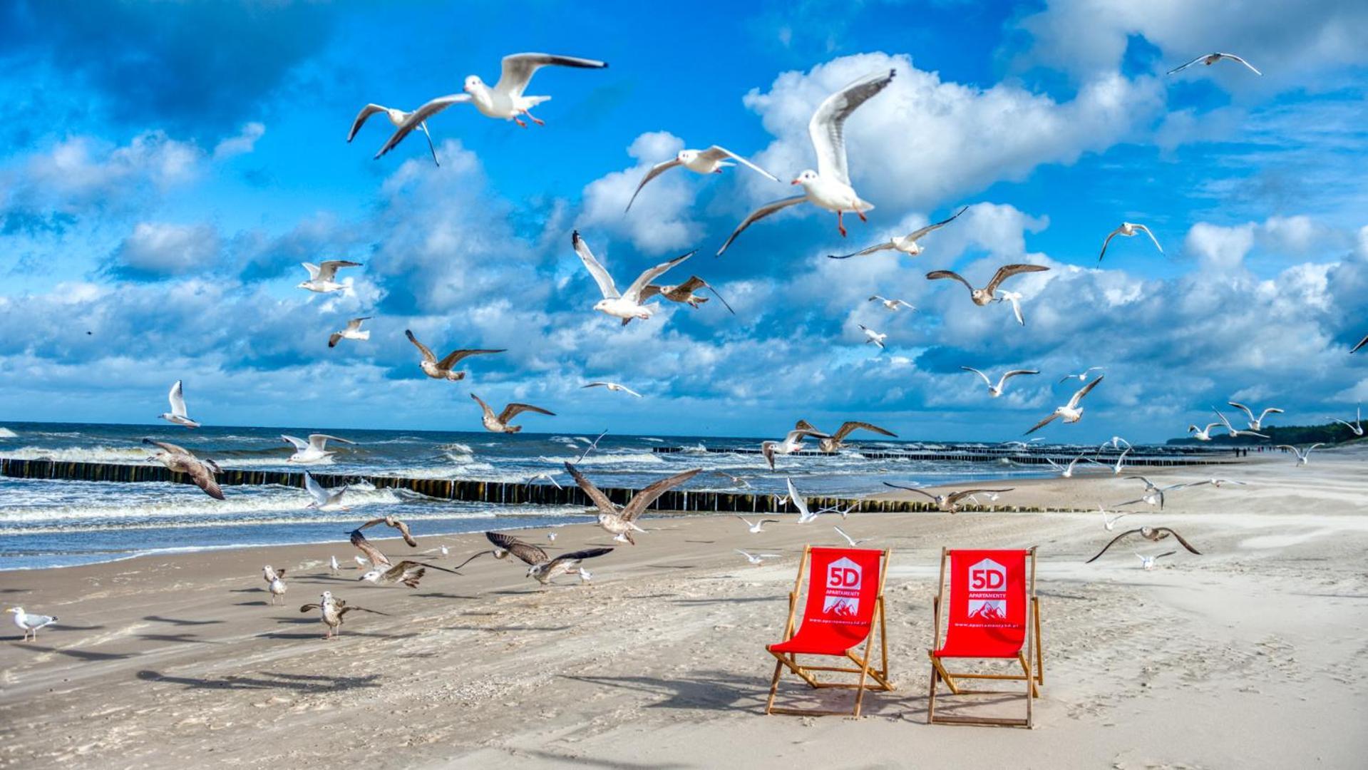 Rezydencja Niechorze 208 Z 2 Sypialniami I 2 Lazienkami Przy Plazy - 5D Apartamenty Buitenkant foto